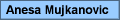 Anesa Mujkanovic